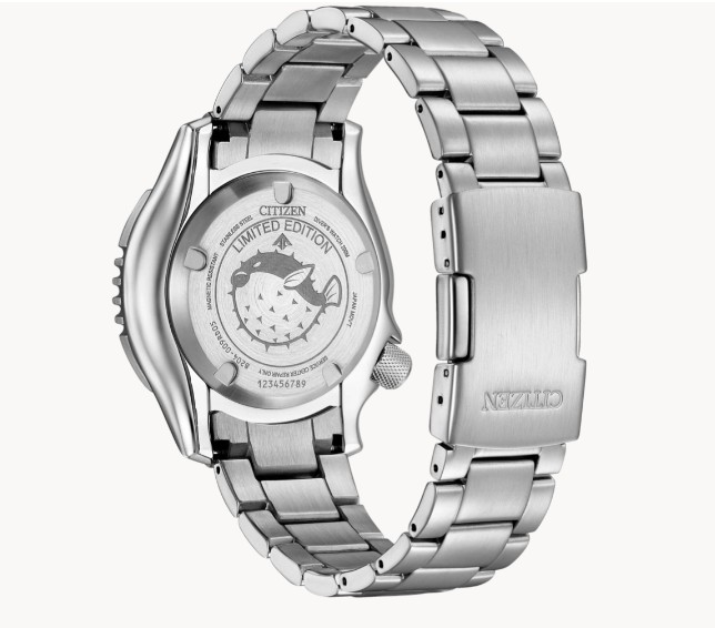 NY0161-63LE Promaster Diver Limited Edition