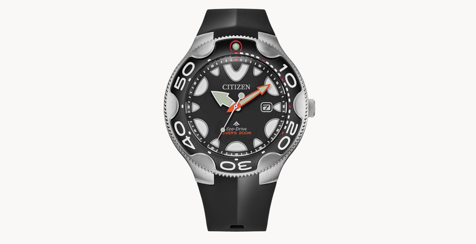 Citizen Herren Eco Drive, Promaster Marine