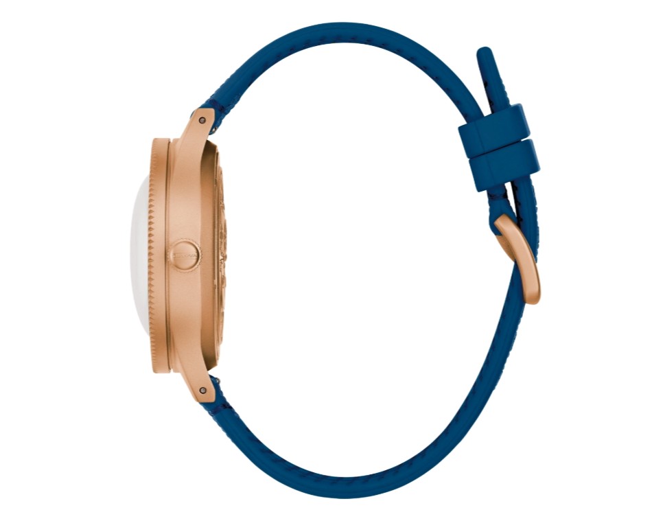 Bulova 950101400500012