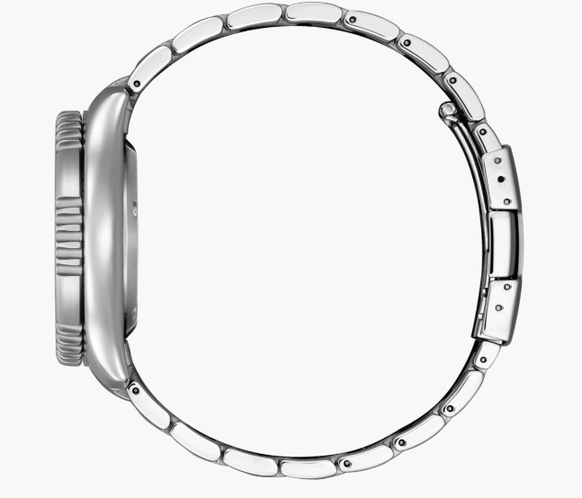 NY0161-63LE Promaster Diver Limited Edition